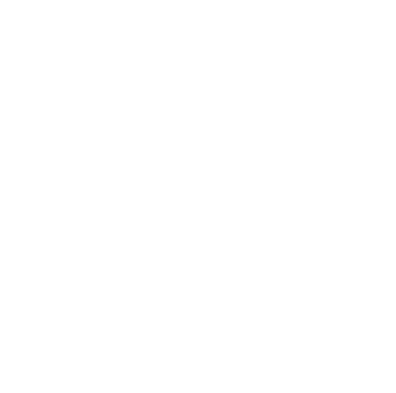 iconSolutionAgent