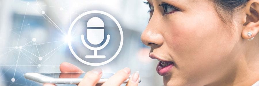 Voice AI